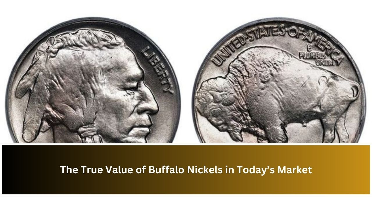 The True Value of Buffalo Nickels in Today’s Market