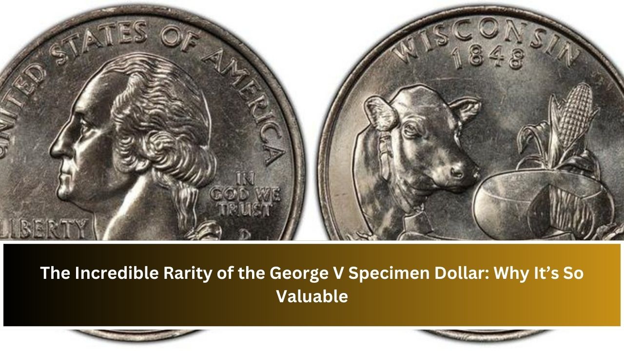 The Incredible Rarity of the George V Specimen Dollar: Why It’s So Valuable