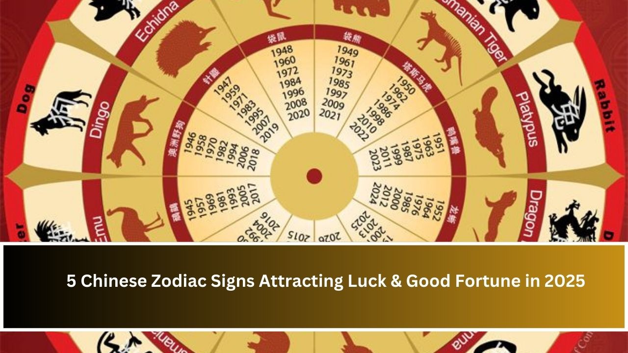 5 Chinese Zodiac Signs Attracting Luck & Good Fortune in 2025