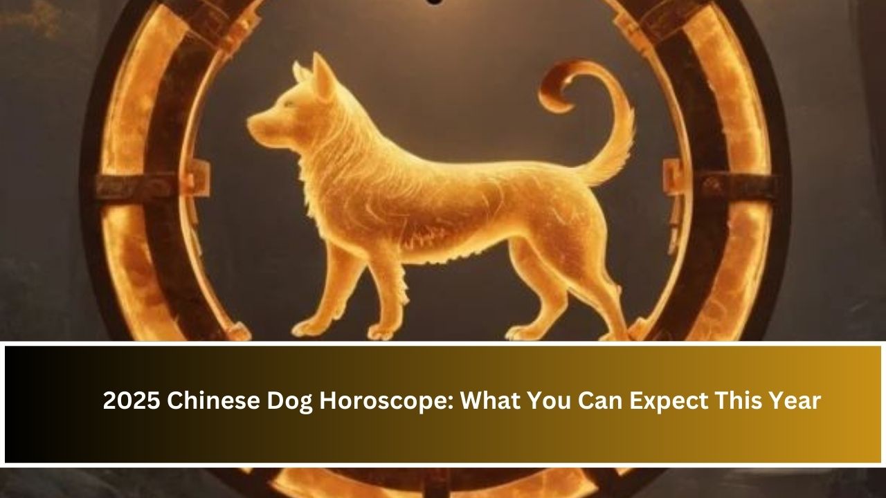 2025 Chinese Dog Horoscope: What You Can Expect This Year