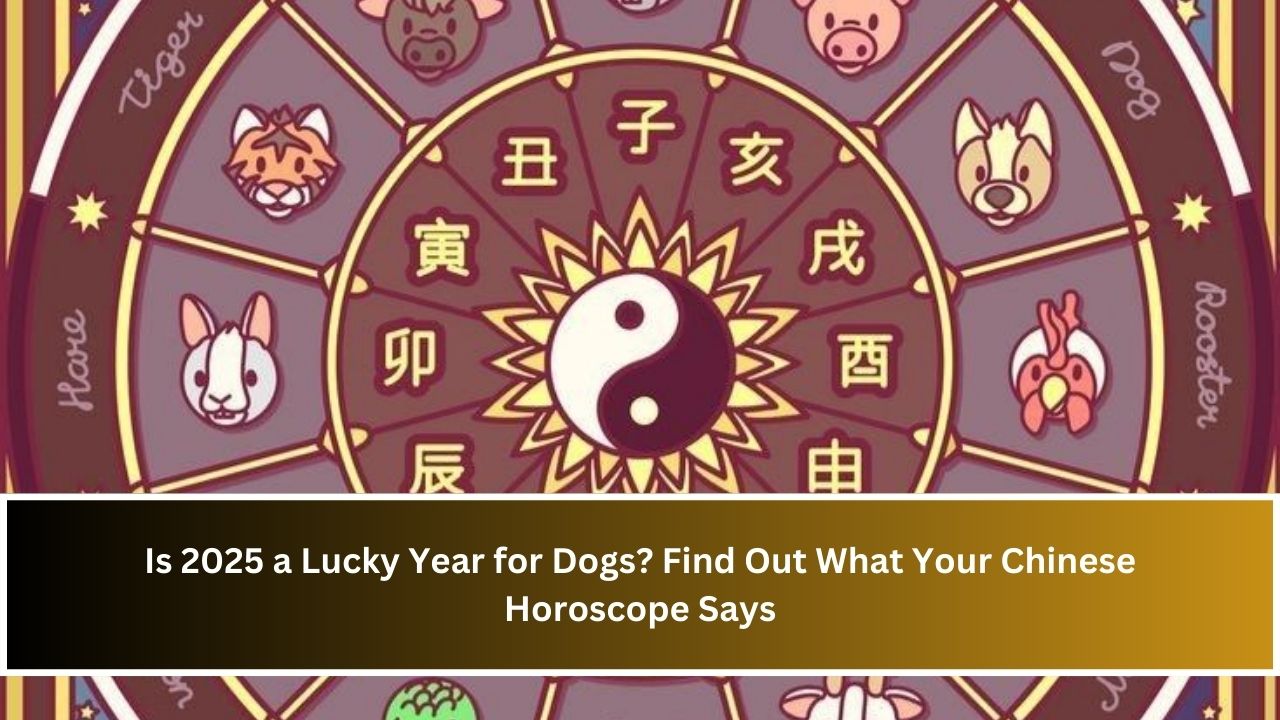 Is 2025 a Lucky Year for Dogs? Find Out What Your Chinese Horoscope Says