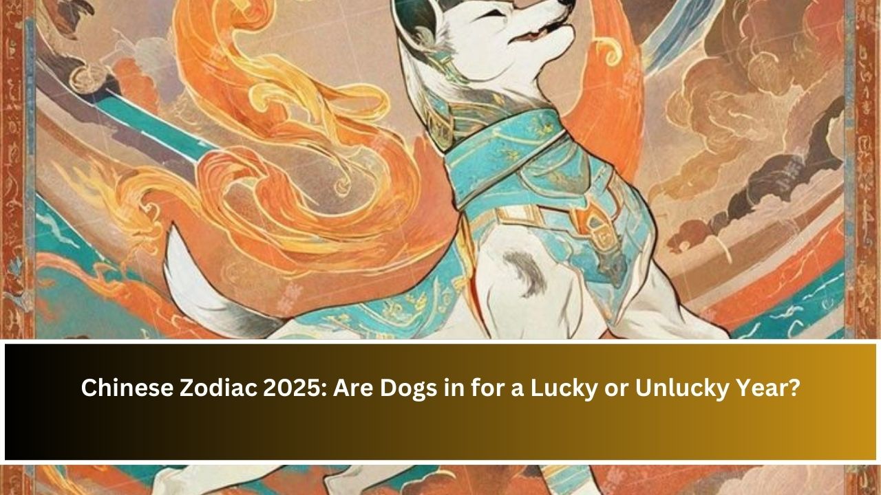 Chinese Zodiac 2025: Are Dogs in for a Lucky or Unlucky Year?