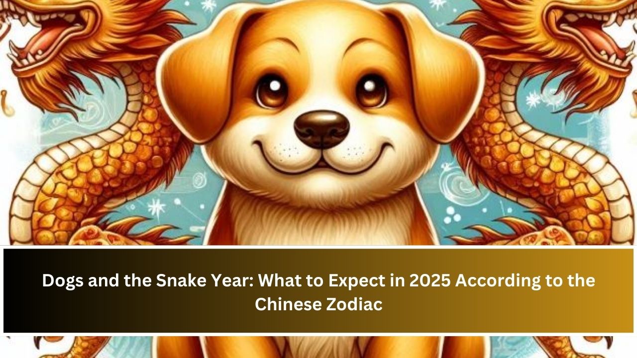 Dogs and the Snake Year: What to Expect in 2025 According to the Chinese Zodiac