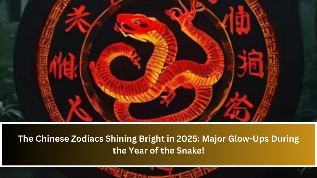 The Chinese Zodiacs Shining Bright in 2025: Major Glow-Ups During the Year of the Snake!