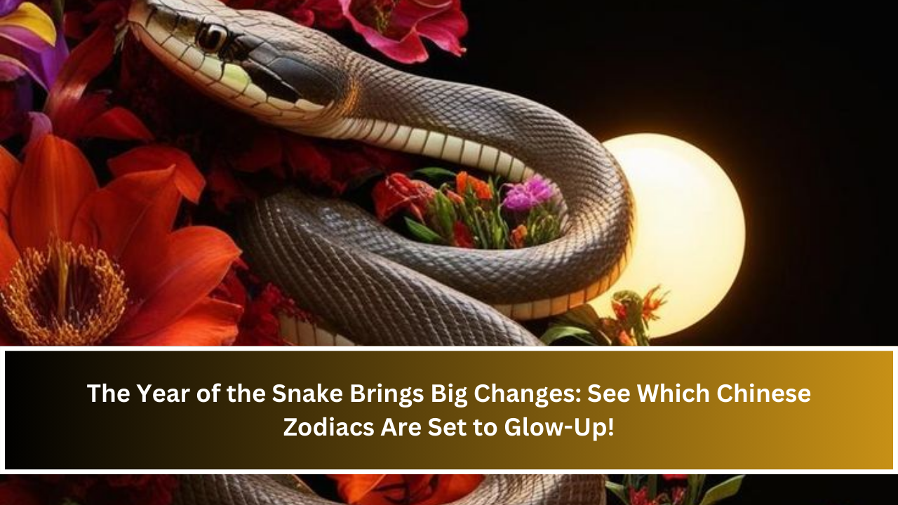 The Year of the Snake Brings Big Changes: See Which Chinese Zodiacs Are Set to Glow-Up!