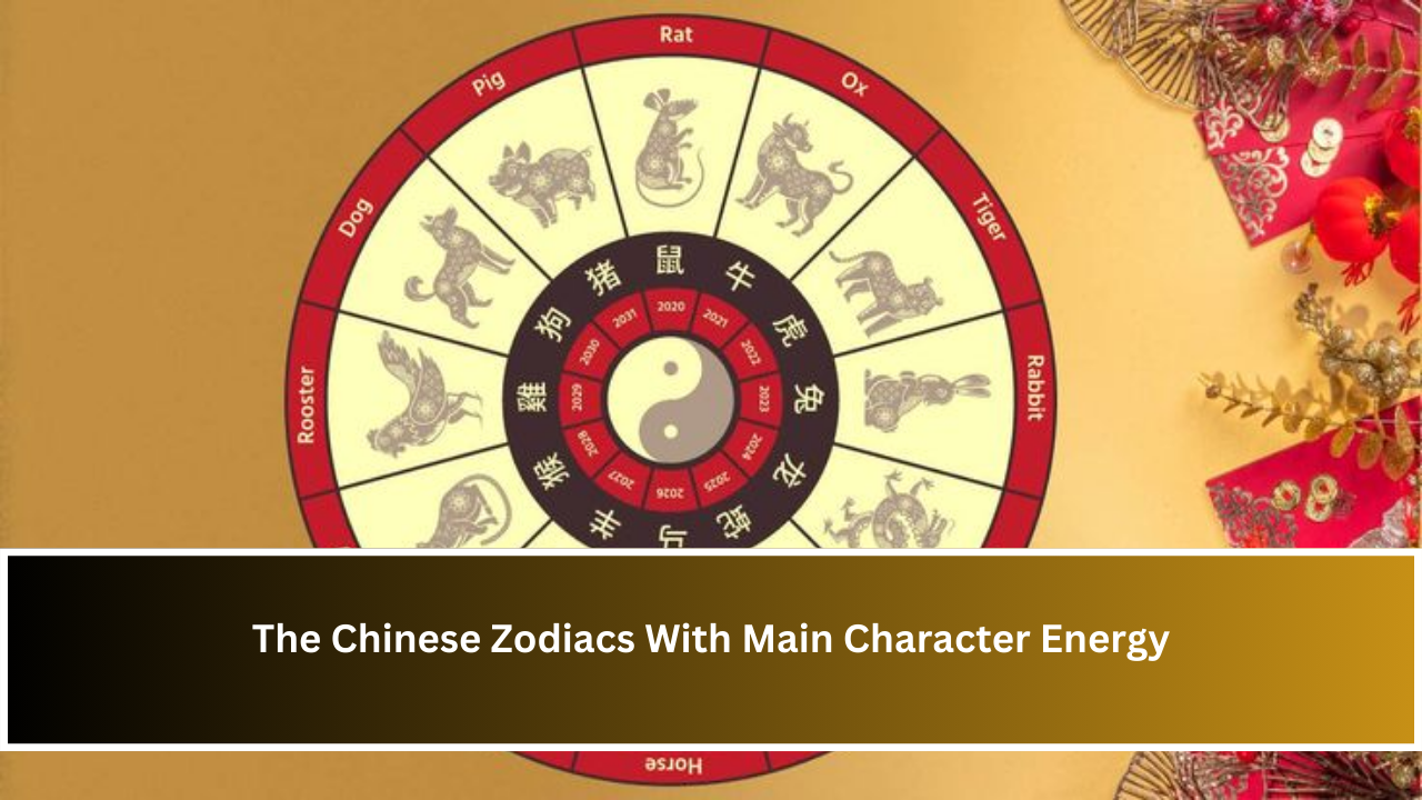 The Chinese Zodiacs With Main Character Energy