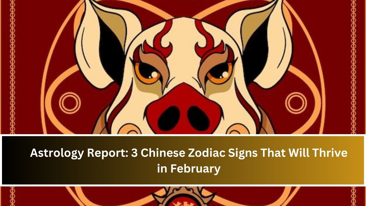 Astrology Report: 3 Chinese Zodiac Signs That Will Thrive in February