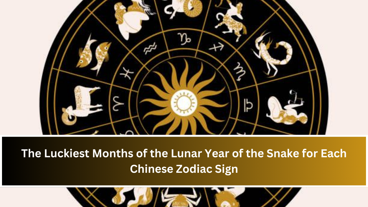 The Luckiest Months of the Lunar Year of the Snake for Each Chinese Zodiac Sign