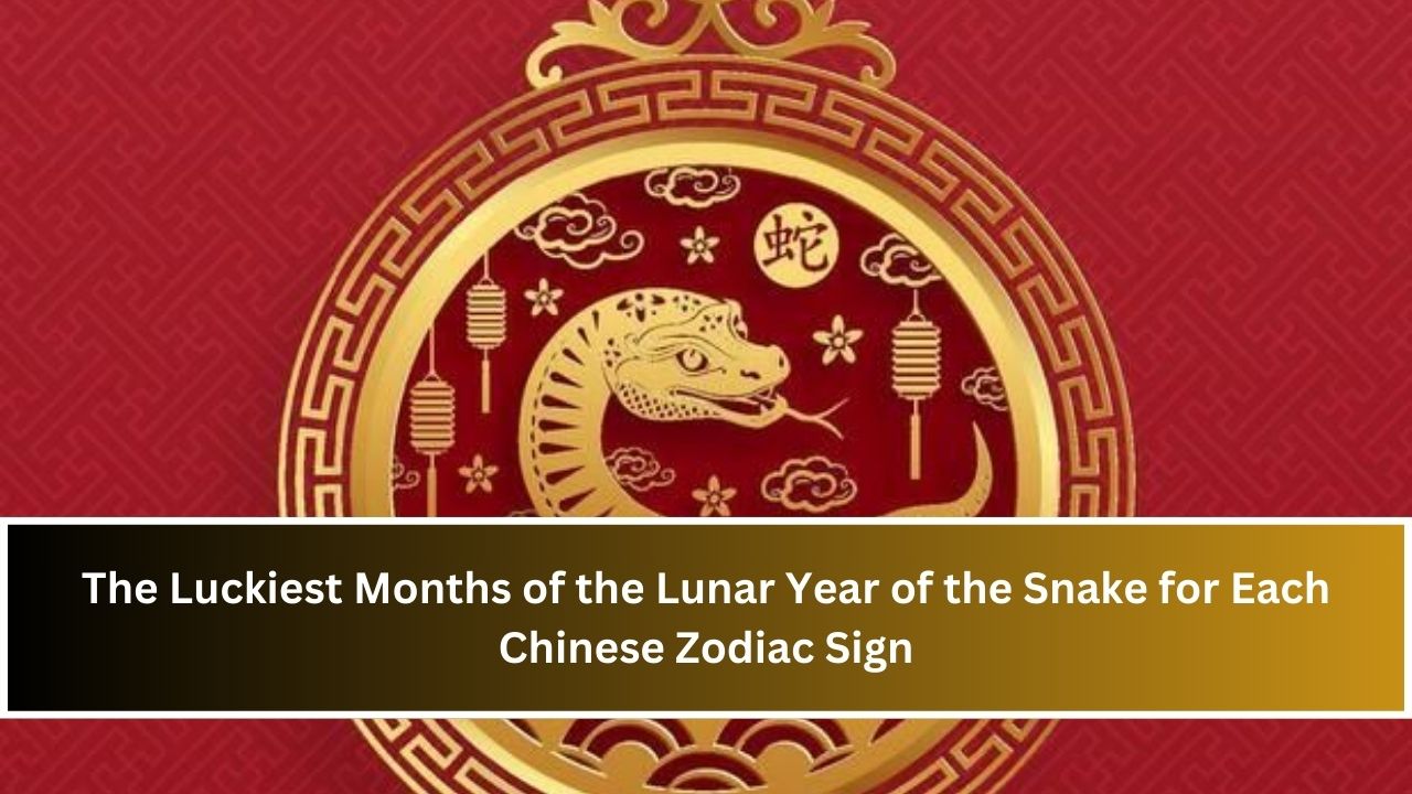 The Luckiest Months of the Lunar Year of the Snake for Each Chinese Zodiac Sign